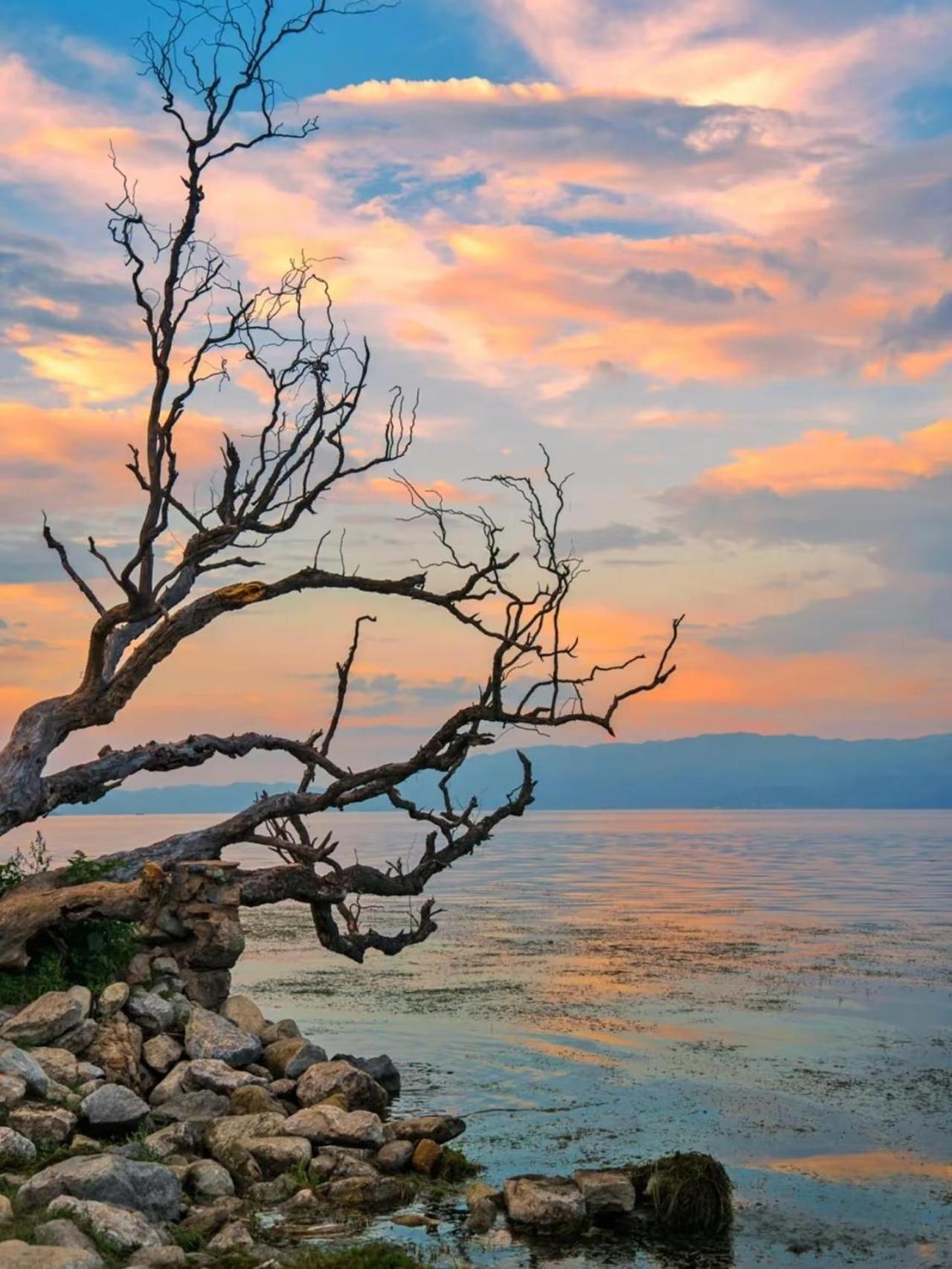 Dali Nest Secret Garden Lake View Inn Esterno foto