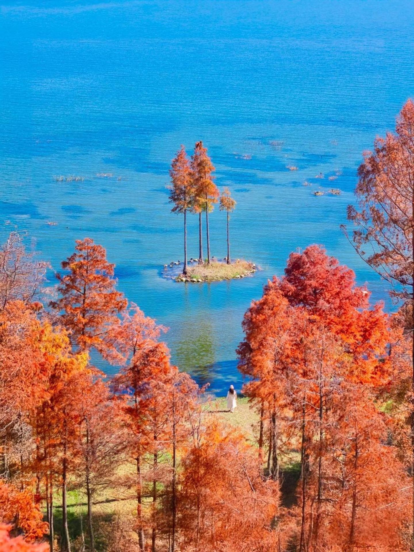 Dali Nest Secret Garden Lake View Inn Esterno foto